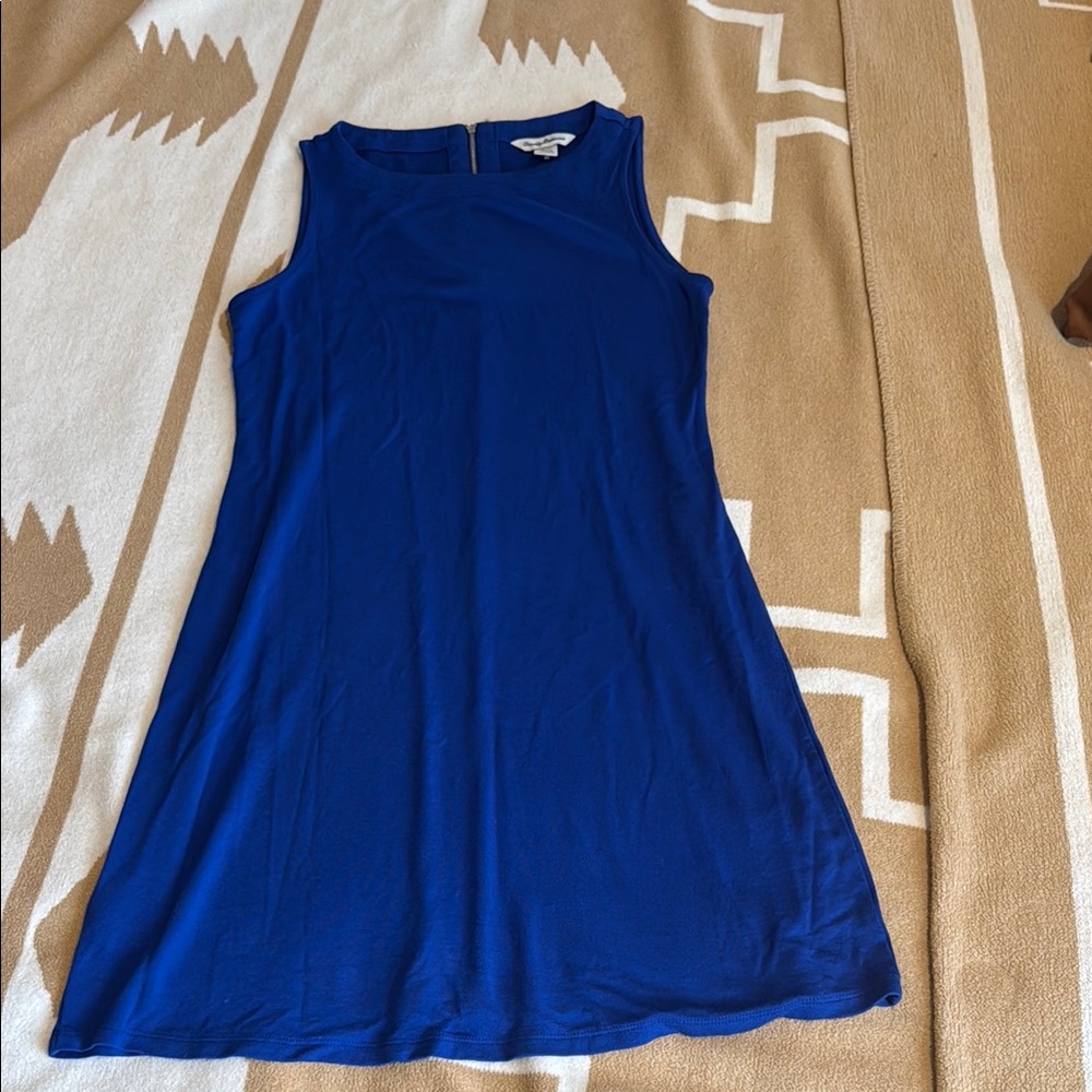 Blue Sleeveless Dress